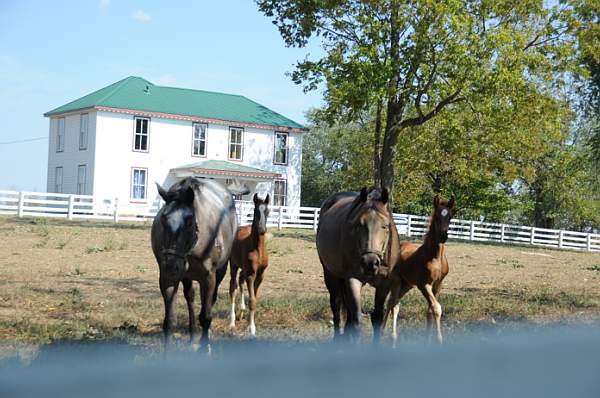 WEG1-9-24-10-Tour_0955-DDeRosaPhoto.jpg