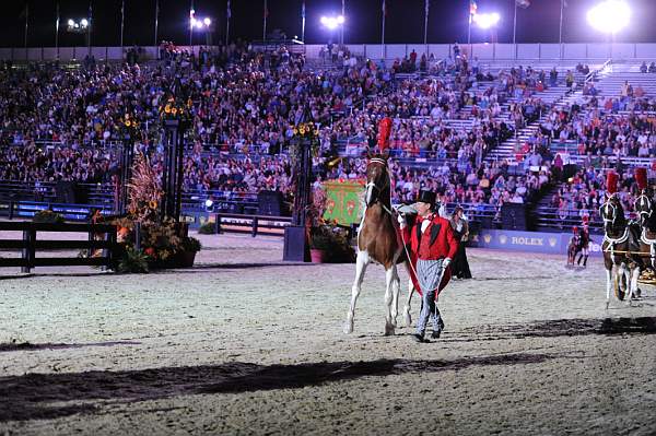 WEG1-9-25-10-Opening-WEG_1785-DDeRosaPhoto.jpg
