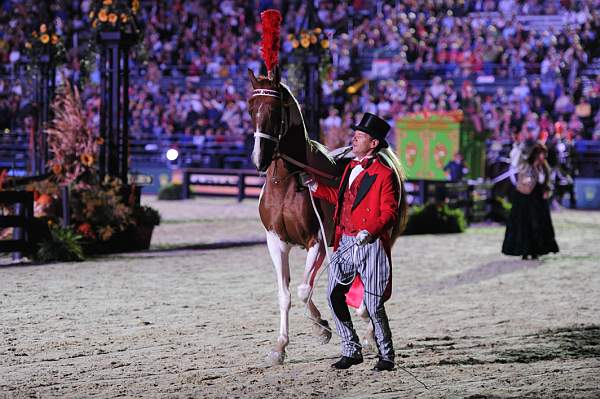 WEG1-9-25-10-Opening-WEG_1787-DDeRosaPhoto.jpg