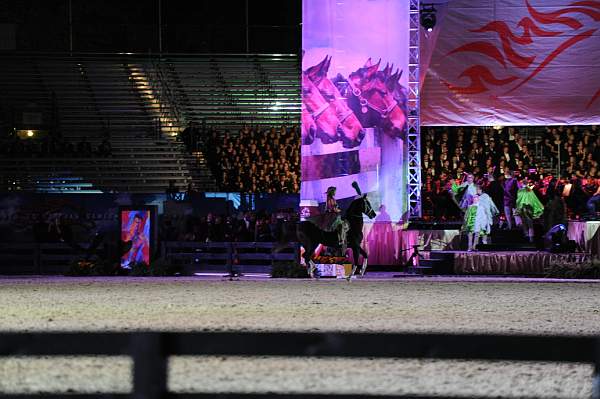 WEG1-9-25-10-Opening-WEG_1845-DDeRosaPhoto.jpg