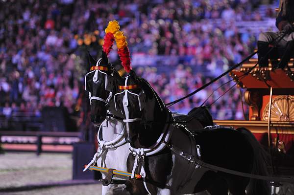 WEG1-9-25-10-Opening-WEG_1877-DDeRosaPhoto.jpg