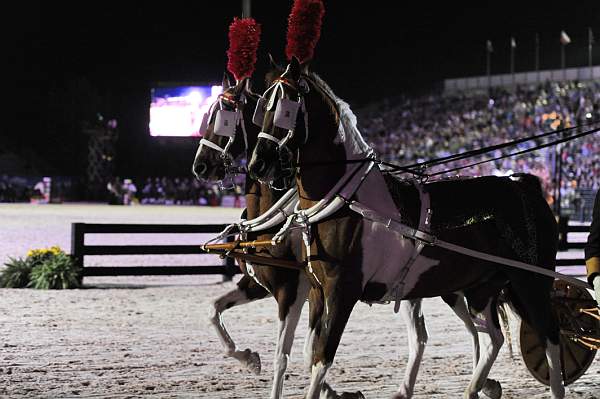 WEG1-9-25-10-Opening-WEG_1893-DDeRosaPhoto.jpg