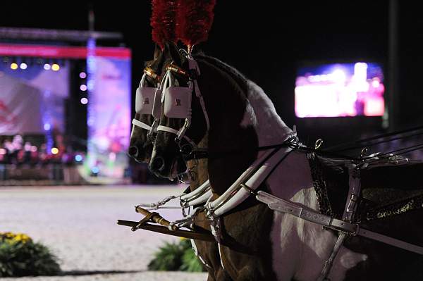 WEG1-9-25-10-Opening-WEG_1894-DDeRosaPhoto.jpg