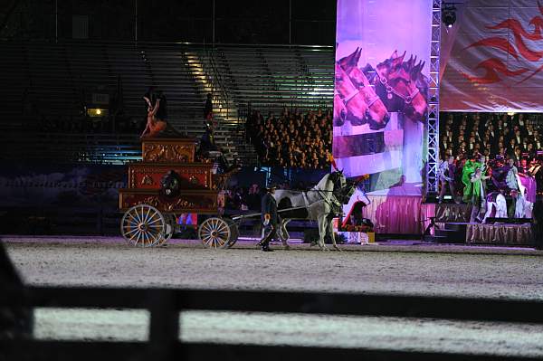 WEG1-9-25-10-Opening-WEG_2072-DDeRosaPhoto.jpg