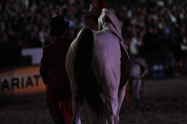 WEG1-9-25-10-Opening-WEG_2083-DDeRosaPhoto.jpg