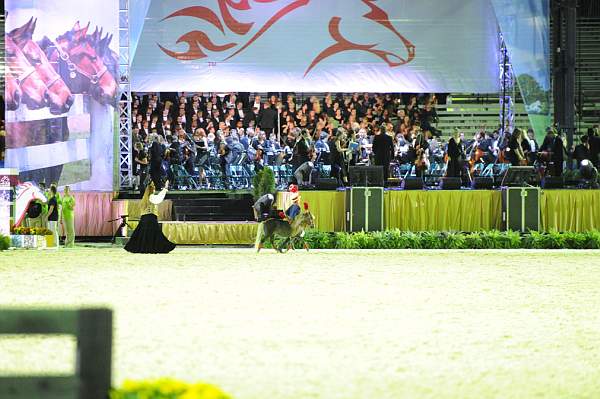 WEG1-9-25-10-Opening-WEG_2264-DDeRosaPhoto.jpg