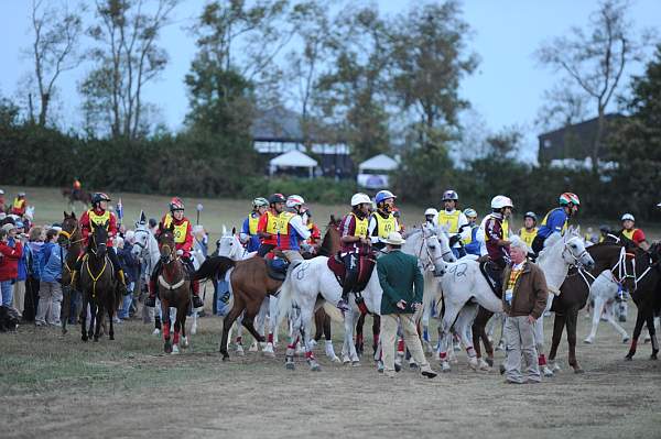 WEG1-9-26-10-Endurance-2302-DDeRosaPhoto.jpg