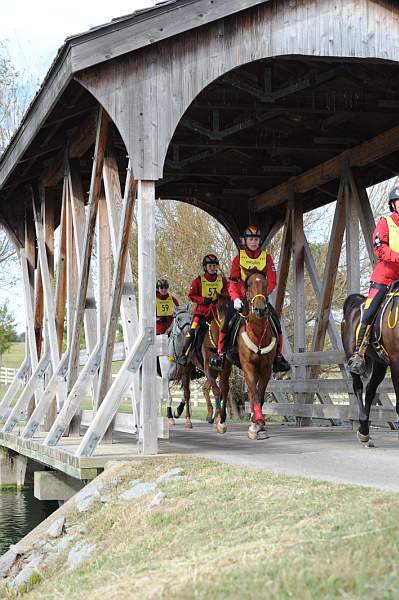 WEG1-9-26-10-Endurance-2698-DDeRosaPhoto.jpg