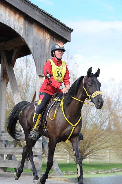 WEG1-9-26-10-Endurance-2699-DDeRosaPhoto.jpg