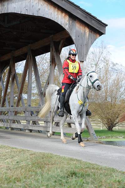 WEG1-9-26-10-Endurance-2704-DDeRosaPhoto.jpg