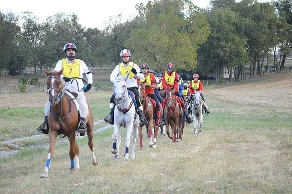 WEG1-9-26-10-Endurance-DSC_3237-DDeRosaPhoto.jpg