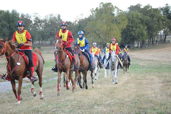 WEG1-9-26-10-Endurance-DSC_3241-DDeRosaPhoto.jpg