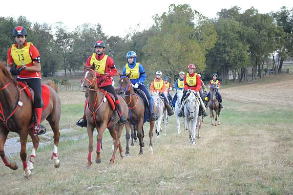WEG1-9-26-10-Endurance-DSC_3242-DDeRosaPhoto.jpg