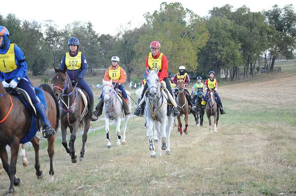 WEG1-9-26-10-Endurance-DSC_3245-DDeRosaPhoto.jpg
