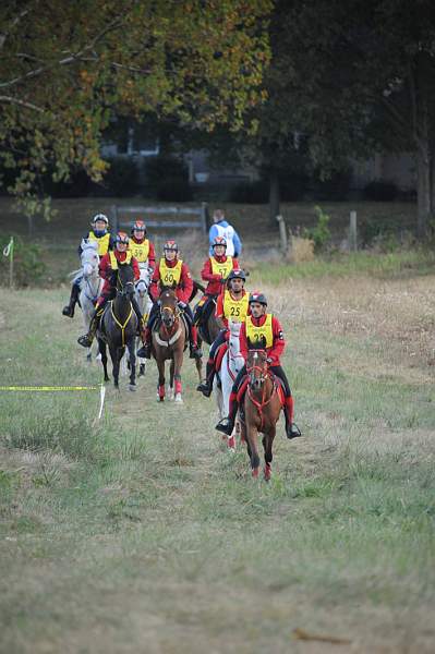 WEG1-9-26-10-Endurance-DSC_3497-DDeRosaPhoto.jpg