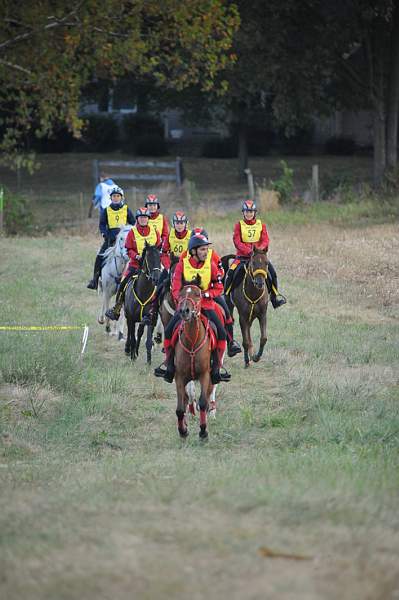 WEG1-9-26-10-Endurance-DSC_3499-DDeRosaPhoto.jpg