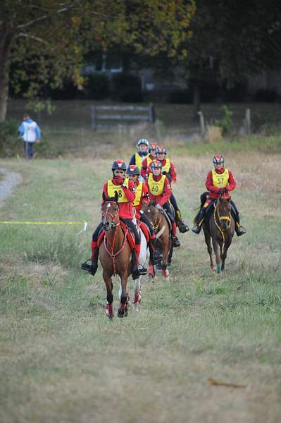WEG1-9-26-10-Endurance-DSC_3500-DDeRosaPhoto.jpg