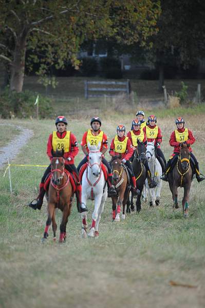 WEG1-9-26-10-Endurance-DSC_3501-DDeRosaPhoto.jpg