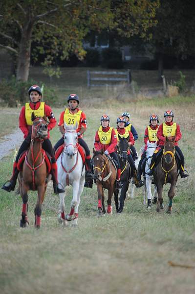WEG1-9-26-10-Endurance-DSC_3502-DDeRosaPhoto.jpg