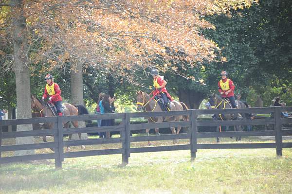 WEG1-9-26-10-Endurance-DSC_3877-DDeRosaPhoto.jpg