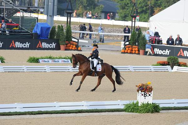 WEG1-9-28-10-DressageGP-5470-DDeRosaPhoto.jpg