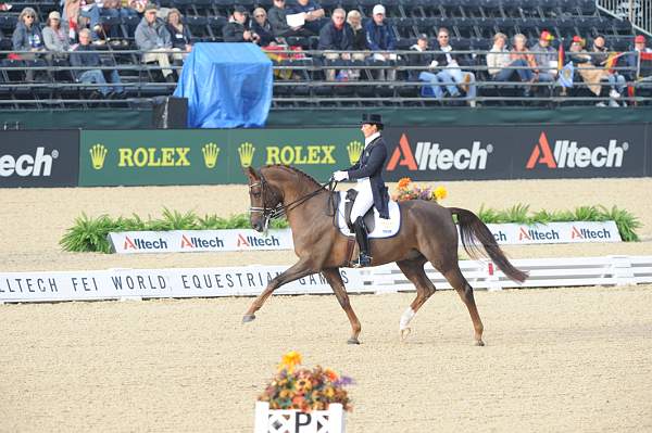 WEG1-9-28-10-DressageGP-5515-DDeRosaPhoto.jpg