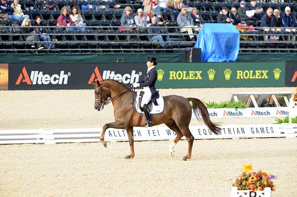 WEG1-9-28-10-DressageGP-5516-DDeRosaPhoto.jpg