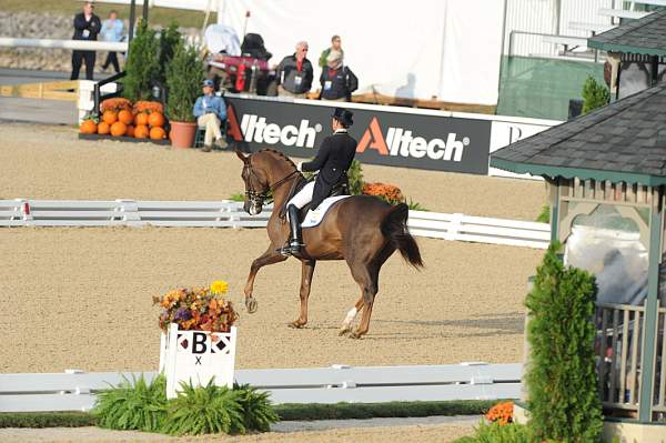 WEG1-9-28-10-DressageGP-5522-DDeRosaPhoto.jpg