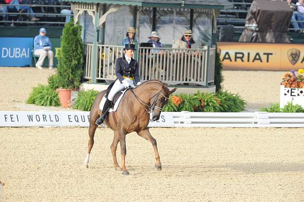 WEG1-9-28-10-DressageGP-5537-DDeRosaPhoto.jpg