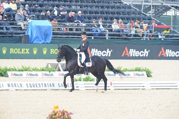 WEG1-9-28-10-DressageGP-5572-DDeRosaPhoto.jpg