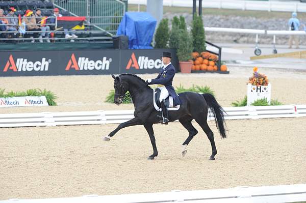 WEG1-9-28-10-DressageGP-5614-DDeRosaPhoto.jpg
