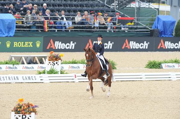 WEG1-9-28-10-DressageGP-5661-DDeRosaPhoto.jpg