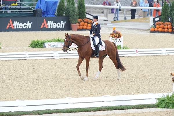 WEG1-9-28-10-DressageGP-5670-DDeRosaPhoto.jpg