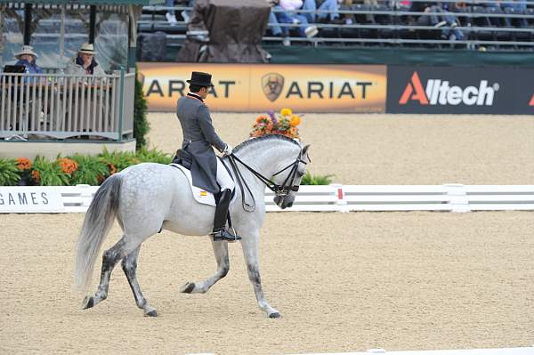 WEG1-9-28-10-DressageGP-5695-DDeRosaPhoto.jpg