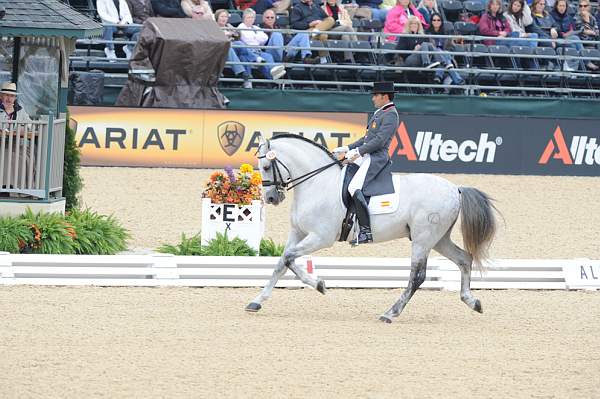 WEG1-9-28-10-DressageGP-5699-DDeRosaPhoto.jpg