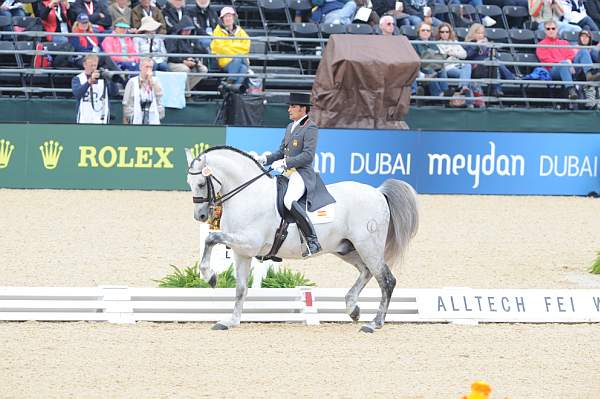 WEG1-9-28-10-DressageGP-5704-DDeRosaPhoto.jpg