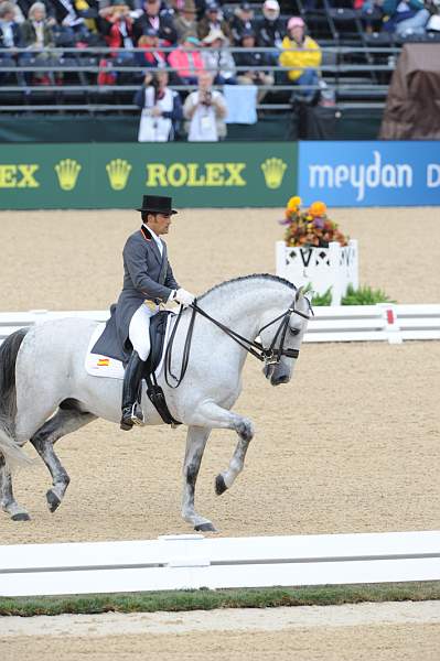 WEG1-9-28-10-DressageGP-5714-DDeRosaPhoto.jpg