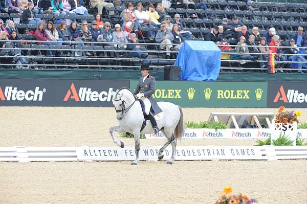 WEG1-9-28-10-DressageGP-5720-DDeRosaPhoto.jpg