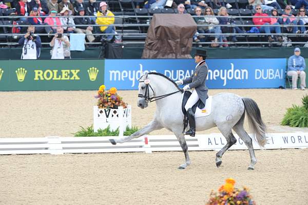 WEG1-9-28-10-DressageGP-5743-DDeRosaPhoto.jpg