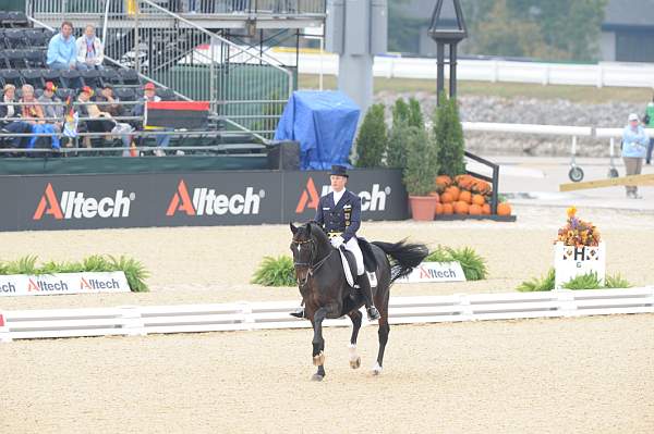 WEG1-9-28-10-DressageGP-5767-DDeRosaPhoto.jpg