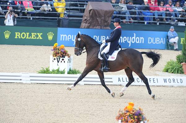 WEG1-9-28-10-DressageGP-5903-DDeRosaPhoto.jpg