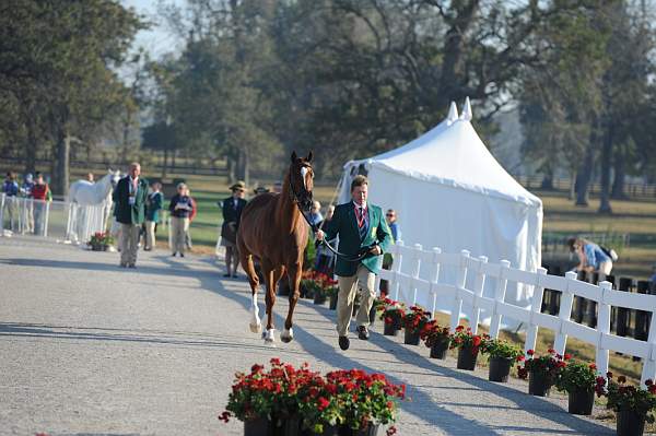 WEG1-9-29-10-EV_Jog-DSC_5289-DDeRosaPhoto.jpg