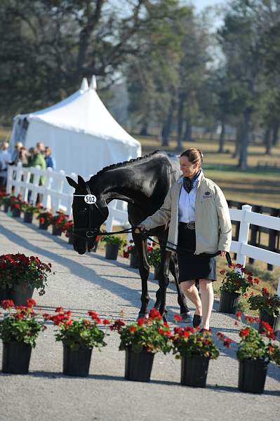 WEG1-9-29-10-EV_Jog-DSC_5350-DDeRosaPhoto.jpg