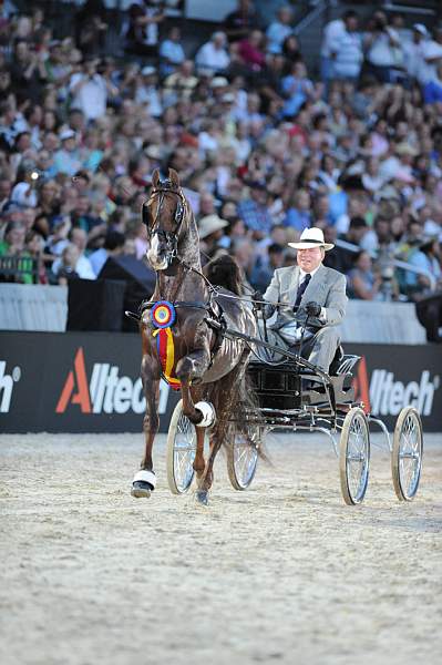 WEG1-9-25-10-DSC_2435-DDeRosaPhoto.jpg