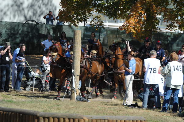 WEG4-10-9-10-DR-Marathon-0333-ChesterWeber-DDeRosaPhoto.jpg