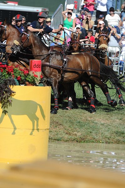 WEG4-10-9-10-DR-Marathon-0374-ChesterWeber-DDeRosaPhoto.jpg