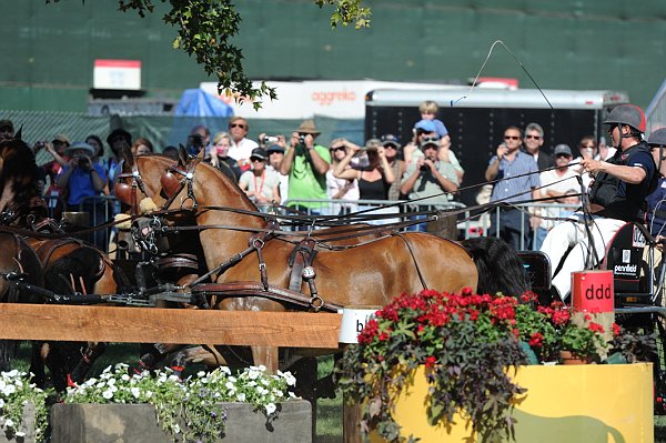 WEG4-10-9-10-DR-Marathon-0378-ChesterWeber-DDeRosaPhoto.jpg