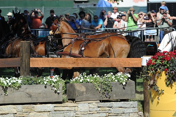 WEG4-10-9-10-DR-Marathon-0380-ChesterWeber-DDeRosaPhoto.jpg