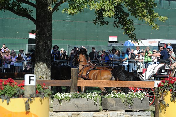 WEG4-10-9-10-DR-Marathon-0381-ChesterWeber-DDeRosaPhoto.jpg