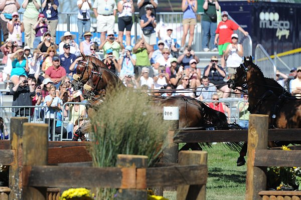 WEG4-10-9-10-DR-Marathon-0386-ChesterWeber-DDeRosaPhoto.jpg